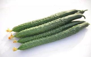 吃瓜视频直链 第3张 吃瓜视频直链 第3张